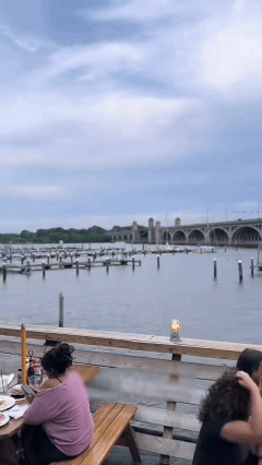 🦀 Maryland-Chesapeake Bay blue crab eggs-TTBD
